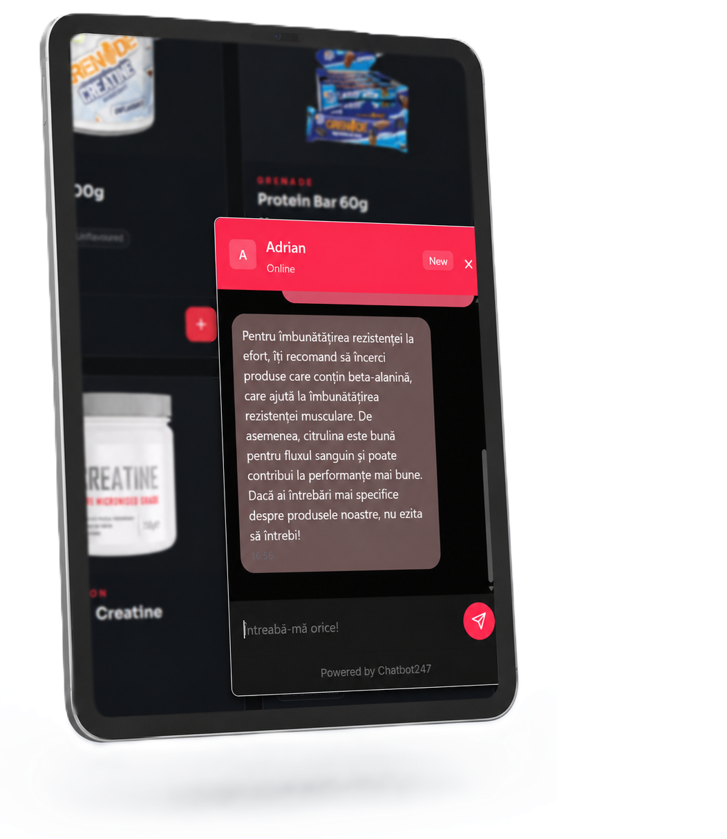 Chatbot247 pe site-ul unui client